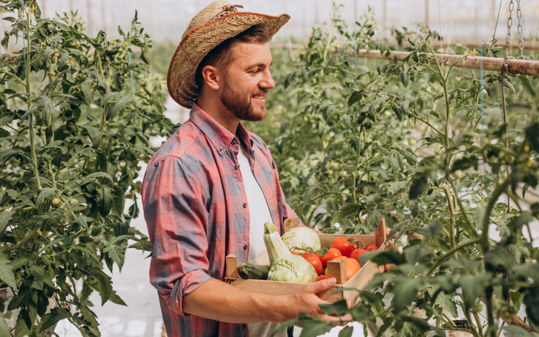 Best Organic Farming Crops to Cultivate